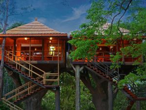 Ranger wood Nature Castle Machan Treehouse – THEKKADY