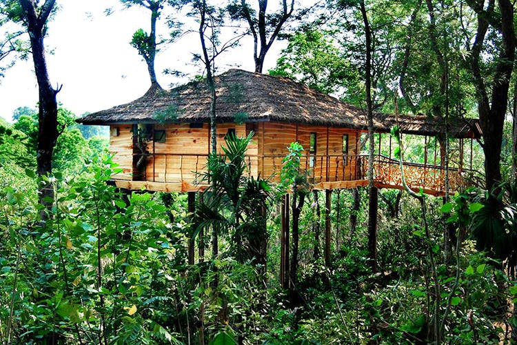 Top 10 Tree Houses in Kerala Tree house holiday resorts from kerala