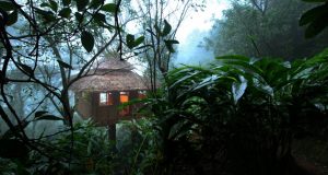 Vanya Treehouse – THEKKADY