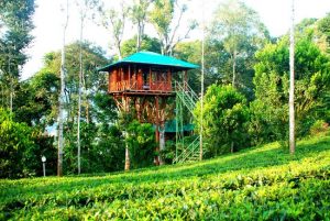 Dream Catcher Plantation Resort –MUNNAR