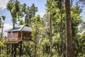 Kaivalyam Retreat – MUNNAR