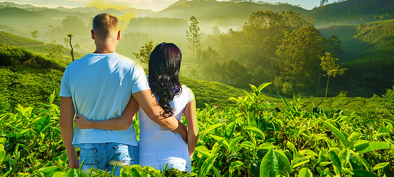 Kerala honeymoon tour packages3