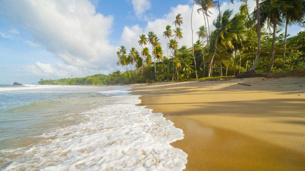Peaceful beaches in Kerala