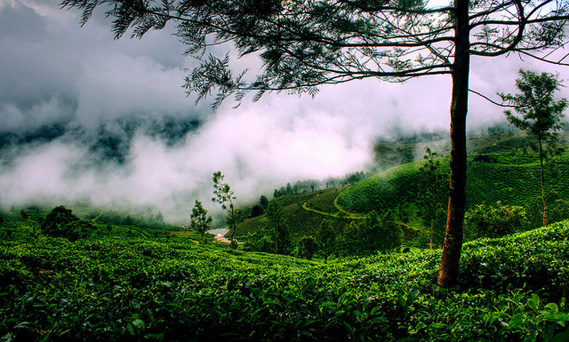wayanad tour packages for 3 days
