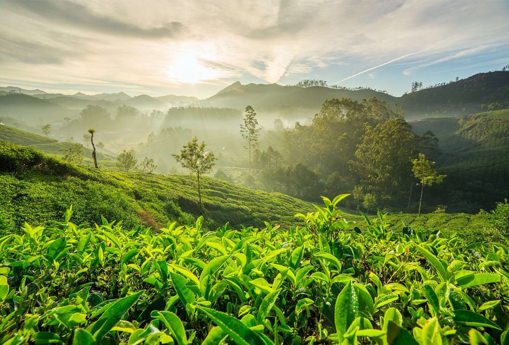 Magical Kerala